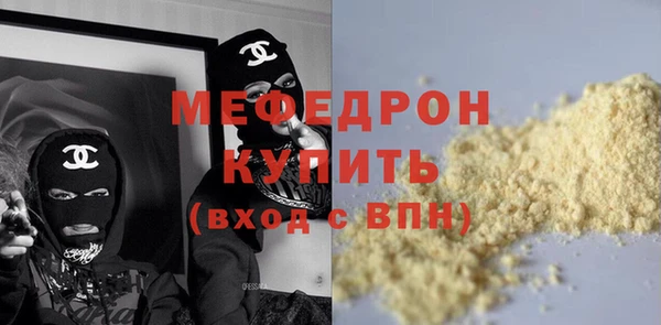 сатива Туринск