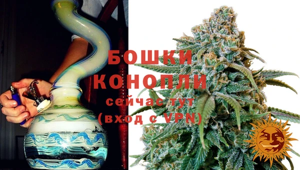 гидропоника Гусь-Хрустальный