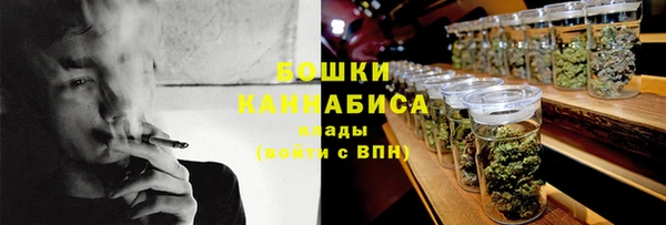 гидропоника Гусь-Хрустальный