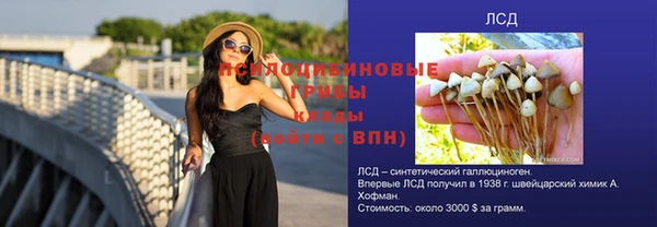 прущая мука Дмитровск