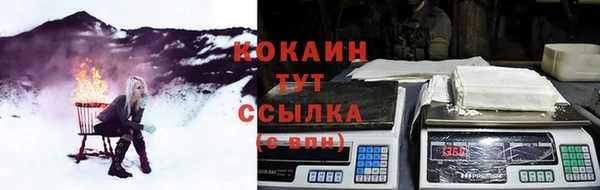 гидропоника Гусь-Хрустальный
