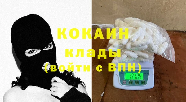 прущие грибы Тында