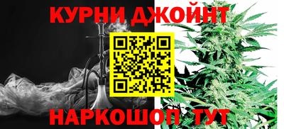 мяу мяу мука Гагарин