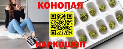 мяу мяу мука Гагарин