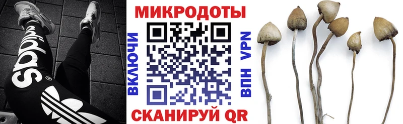 купить наркотики сайты  Мценск  Псилоцибиновые грибы ЛСД 
